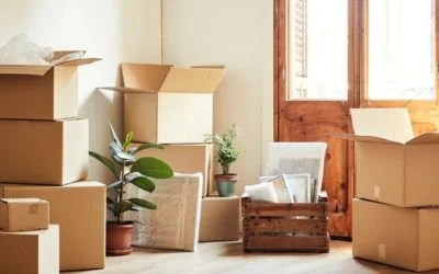 Comment déménager des plantes