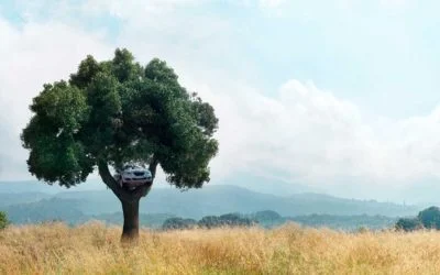 Comment signaler son changement d’adresse à AXA ?